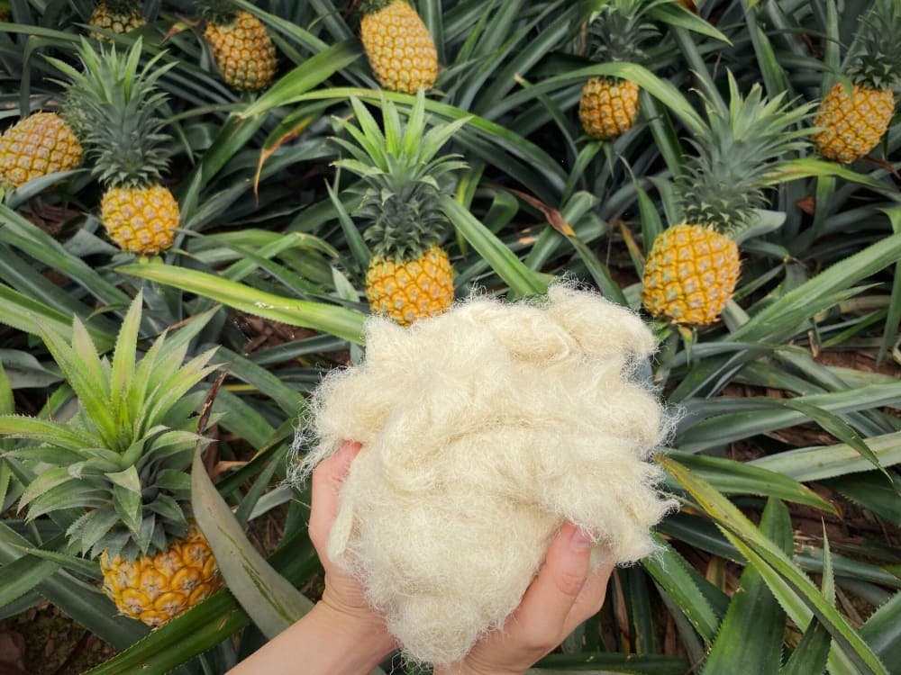 Hoạt động thực tế 1