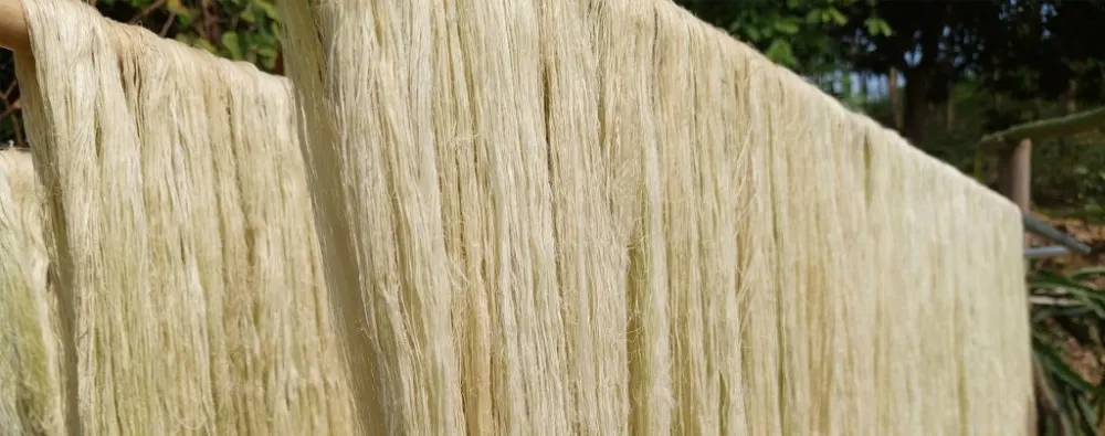 Hoạt động thực tế 4