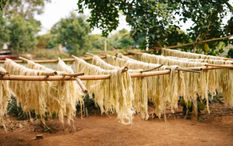Hoạt động thực tế 5